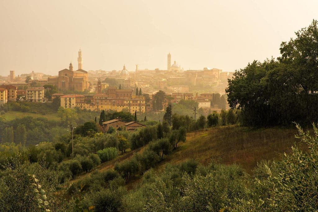 Agriturismo Colombino Сиена Екстериор снимка
