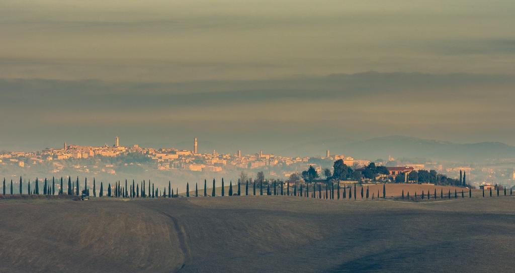 Agriturismo Colombino Сиена Екстериор снимка